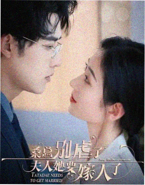 庆余年3免费观看